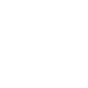 logo FONS